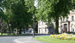 View Image